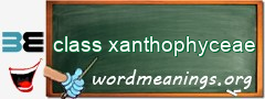 WordMeaning blackboard for class xanthophyceae